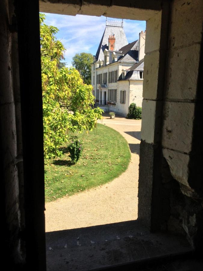 Chateau De La Coutanciere Brain-sur-Allonnes Dış mekan fotoğraf